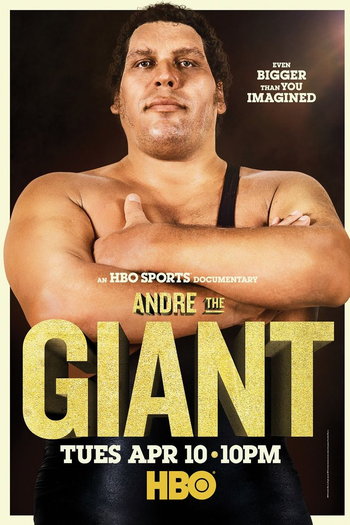 Poster de Filme André o Gigante (2018)