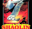 Shaolin - The Blood Mission