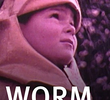 Worm