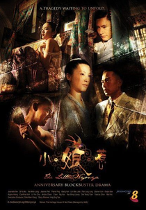 The Little Nyonya (The Little Nyonya)