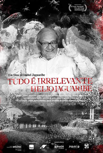 Tudo é Irrelevante, Hélio Jaguaribe - Poster / Capa / Cartaz - Oficial 1