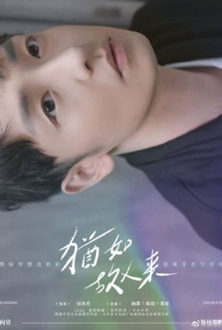 Poster 1 de Série The Memory (2021)