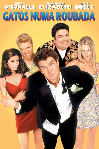  de Filme Gatos Numa Roubada (2001)