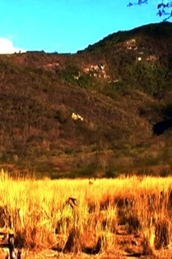 Poster de Curta La Traz da Serra (None)