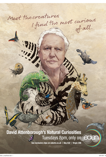 Curiosidades da Natureza com David Attenborough - Poster / Capa / Cartaz - Oficial 1