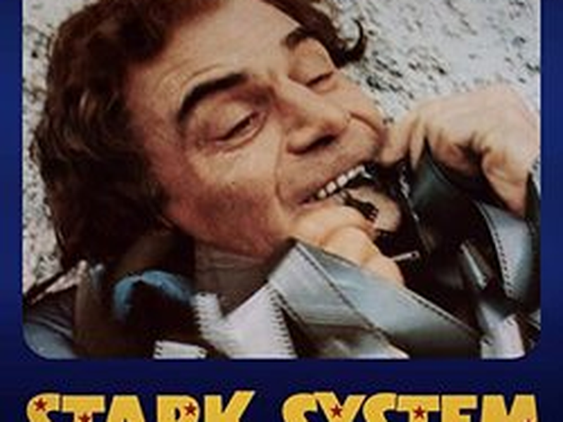 Foto 3 de Stark System