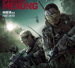 Operação Mekong