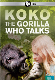 Koko: The Gorilla Who Talks to People (Koko: The Gorilla Who Talks to People)