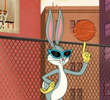 Basket Bugs