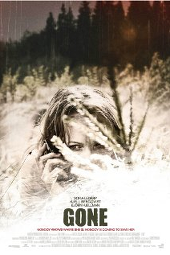 Poster de Filme Desaparecida (2011)