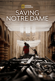 Reconstrução da Catedral de Notre Dame - Poster / Capa / Cartaz - Oficial 2