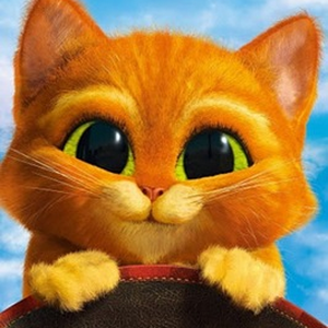 Foto de perfil de JUNIOR WOST