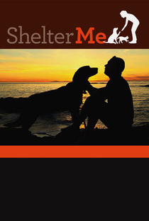 Shelter Me - Poster / Capa / Cartaz - Oficial 1