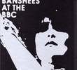 Siouxsie and the Banshees - At the BBC