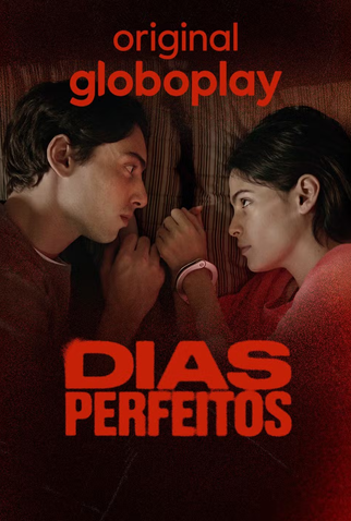 Poster 1 de Série Dias Perfeitos (2025)