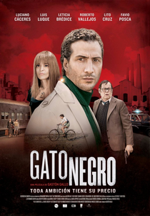 Gato negro (Gato negro)