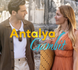 Antalya Gambit