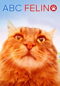 ABC Felino (cats 101)