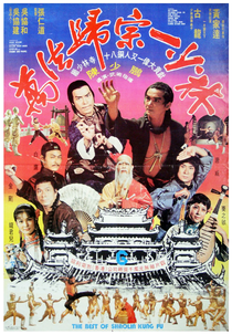 Best of Shaolin Kung Fu (Wan fa gui zong yi Shao Lin)