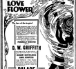 Flor de Amor