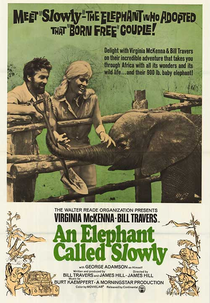 Um Amor De Elefante (An Elephant Called Slowly)