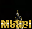 The Miami Model