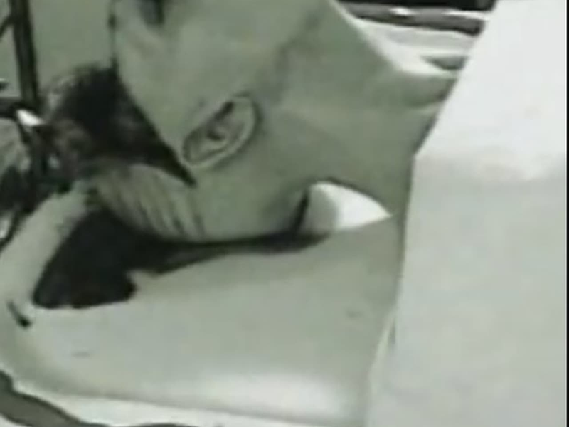 Foto 1 de Marilyn Manson: Autopsy