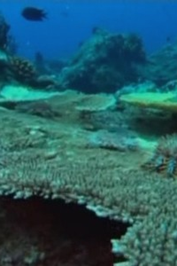 Poster de Episódio Great Barrier Reef (2007)