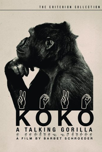 Koko: A Talking Gorilla - Poster / Capa / Cartaz - Oficial 1