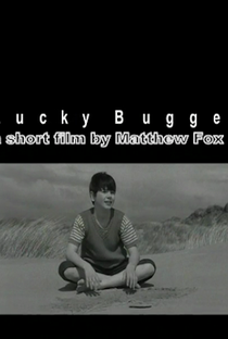 Lucky Bugger - Poster / Capa / Cartaz - Oficial 1