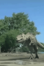 Spectacles on the Beach (Spectacles on the Beach)