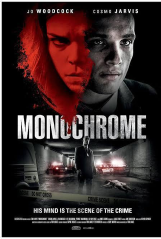 Poster 1 de Filme Monochrome (2016)
