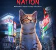 Nação dos Gatos