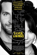 O Lado Bom da Vida (Silver Linings Playbook)