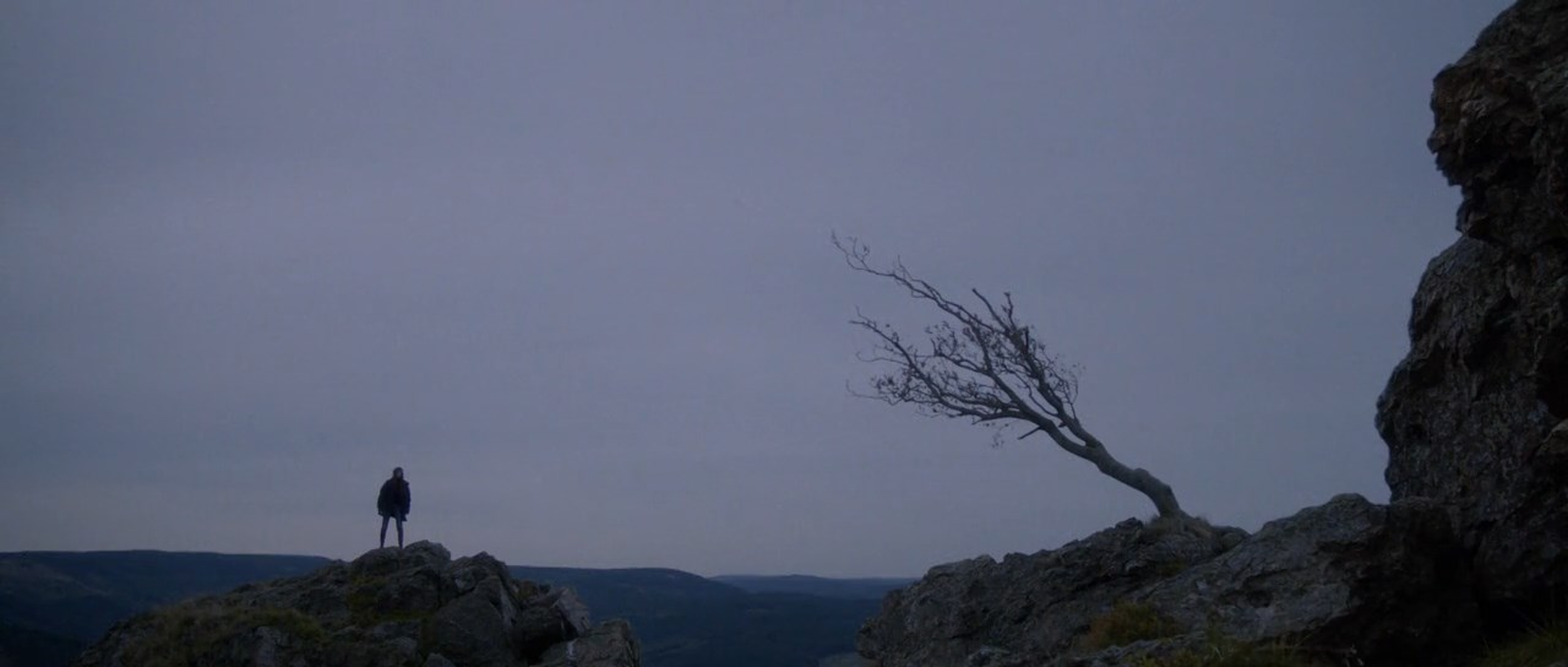 André - Foto 1
