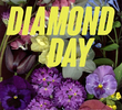 Diamond Day