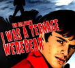 I Was a Teenage Werebear
