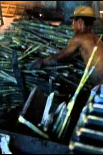  de Curta O Engenho (1970)