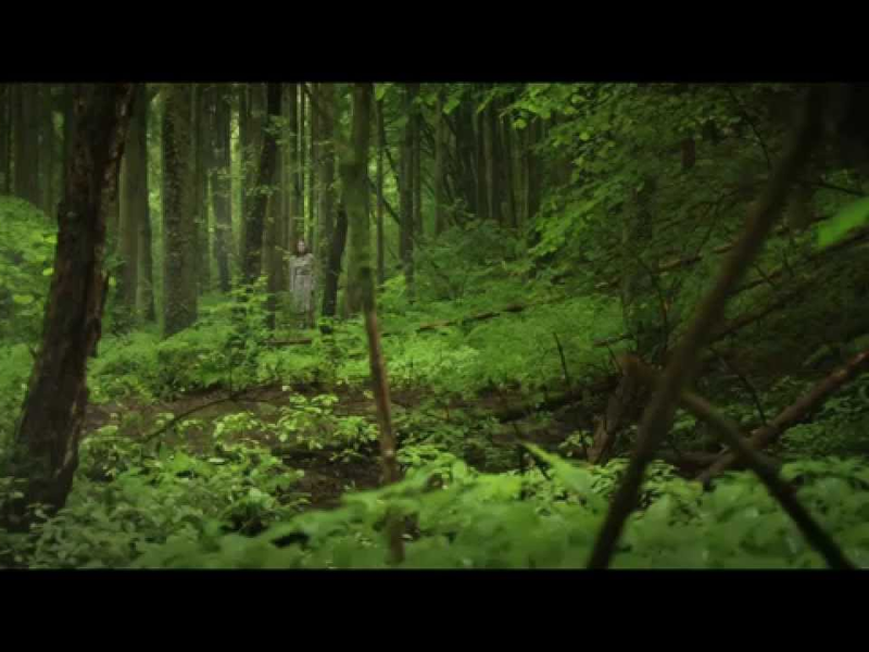 Foto 3 de Le goût des myrtilles 