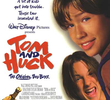 Tom e Huck: Em Busca do Grande Tesouro