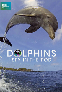 Dolphins - Spy in the pod - Poster / Capa / Cartaz - Oficial 1