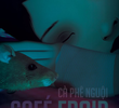 Café Froid