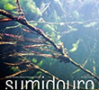 Sumidouro
