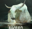 Agouro