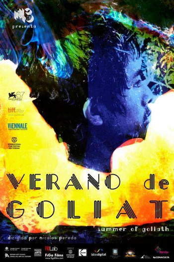 Poster de Filme Verão de Golias (2010)