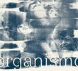 Organismo