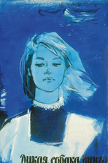 Dingo, o Cão Selvagem (Dikaya Sobaka Dingo)