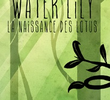 Water Lily: Birth of the Lotus
