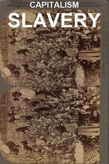 Capitalism: Slavery (Capitalism: Slavery)