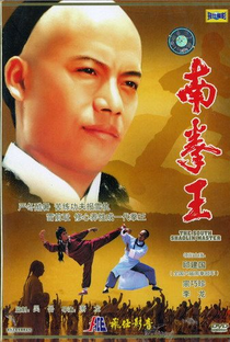 The South Shaolin Master - Poster / Capa / Cartaz - Oficial 1